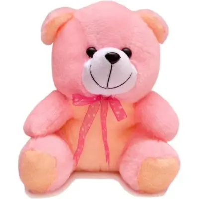 Soft Teddy Bear